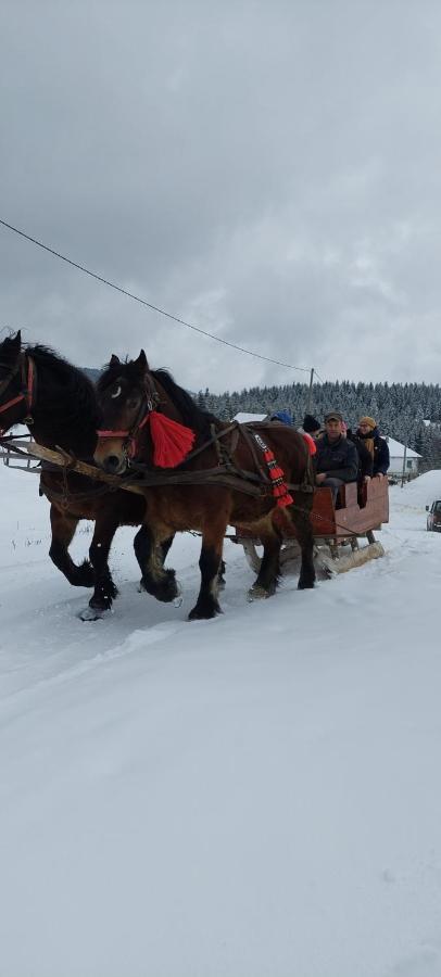 Cabana Gabriela Ґирда-де-Сус Екстер'єр фото